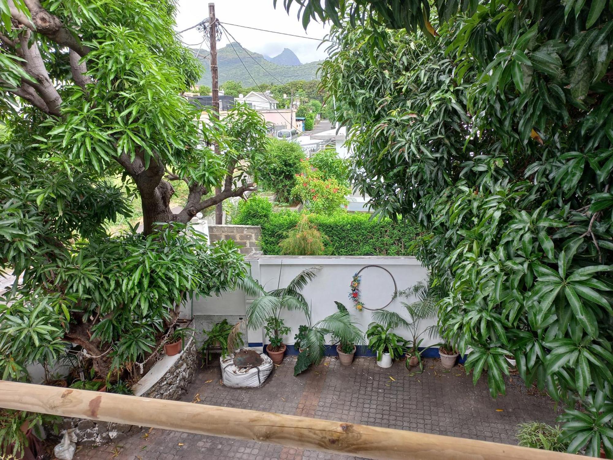 פור לואי Open Air Cafe & Apartments חדר תמונה